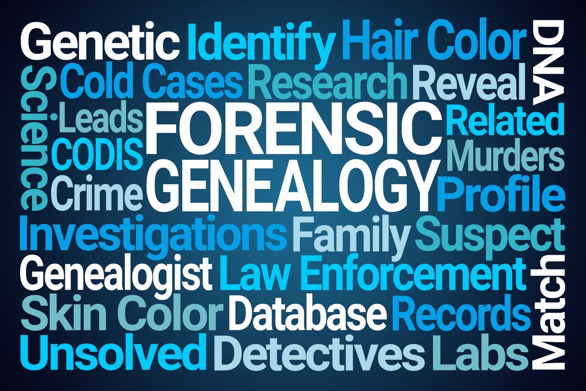 How A Forensic Genealogist Finds Missing Heirs | Von Langen, LLC